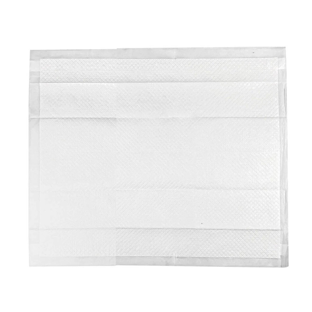 12pz Tappetini Igienici Traversine Assorbenti Cani Gatti Animali 60x60cm/60x90cm